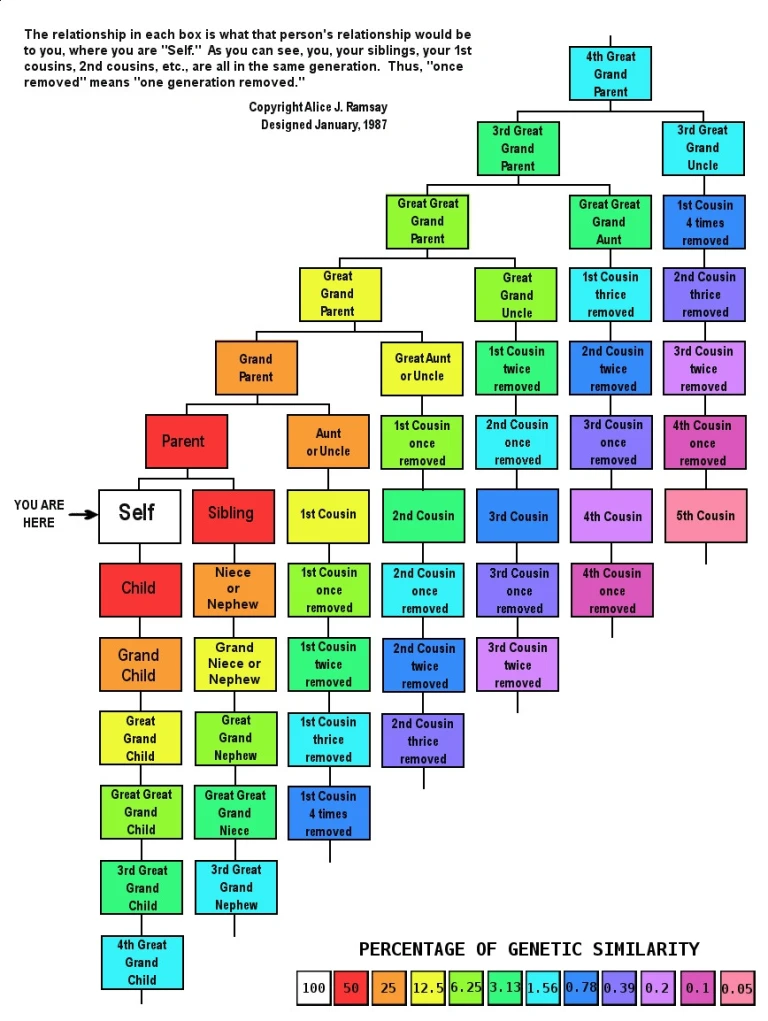 cousin-relationship-chart-digging-for-ancestors